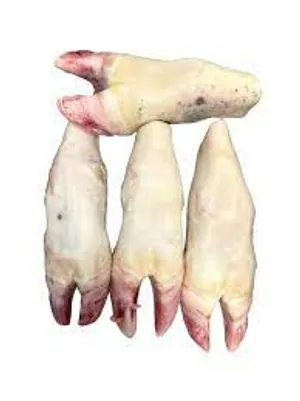 Beef Feet